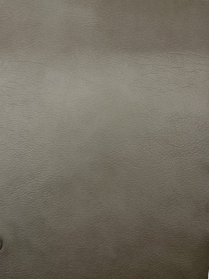 0047-95 Aline Carbone (2)