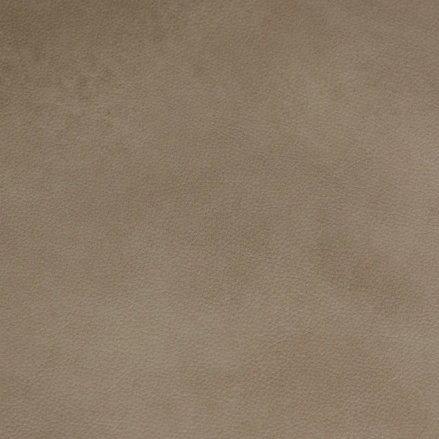 0051-18 KL LUCCA TURTLEDOVE