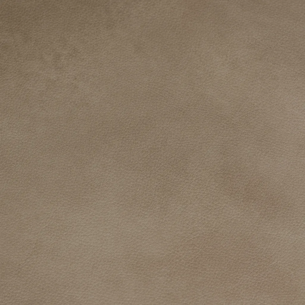 0051-18 KL LUCCA TURTLEDOVE