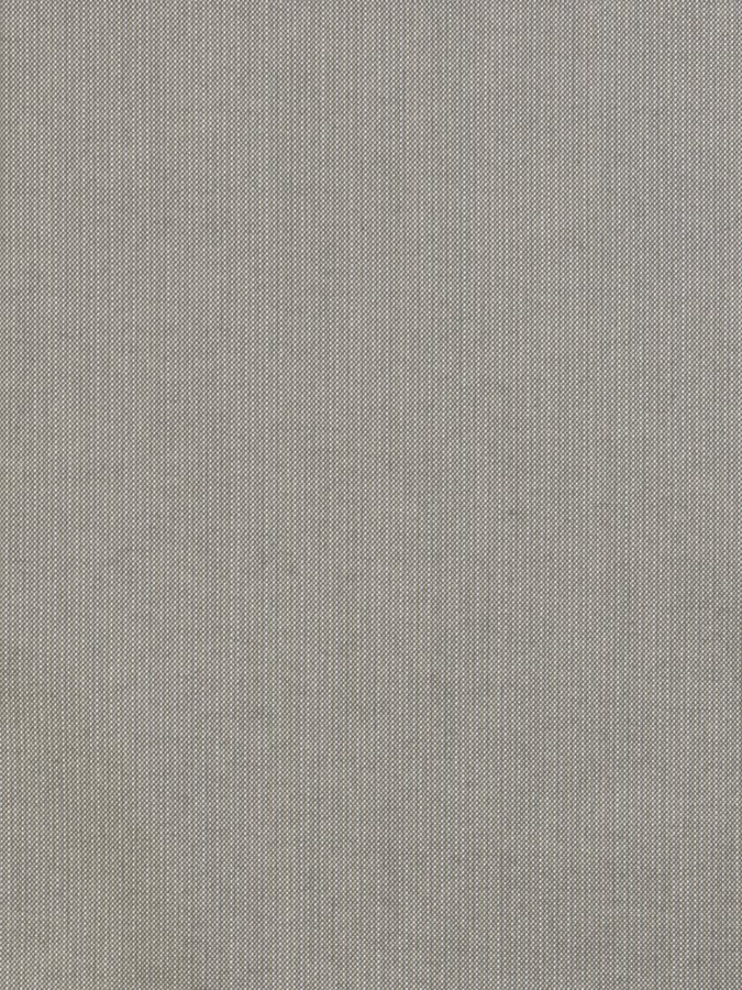 2239-81 Spectrum Dove