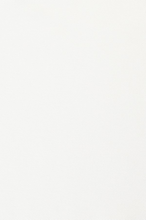 2266-10 McLean White