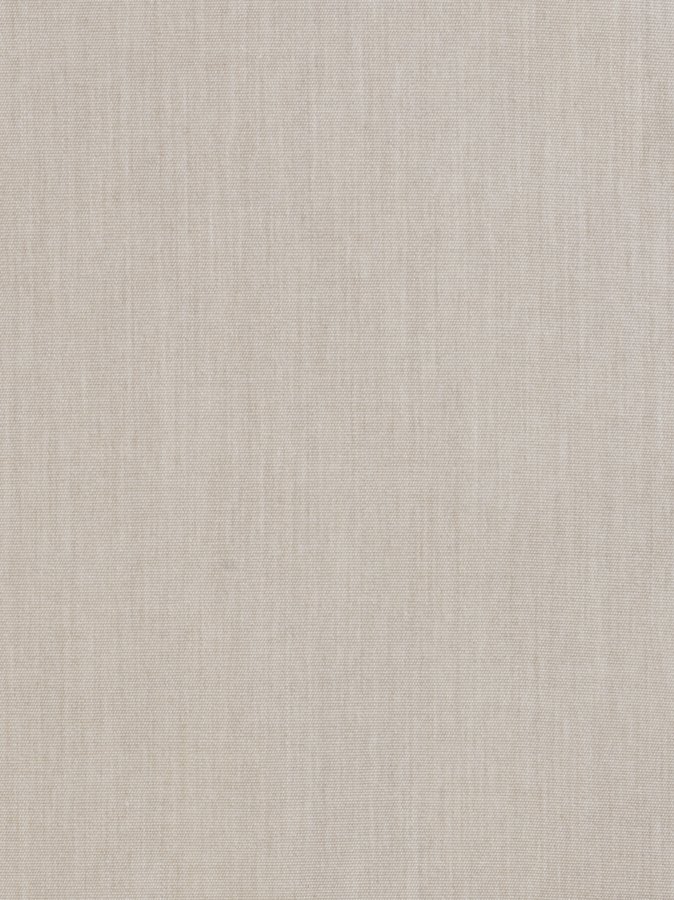 2299-80 Canvas Flax