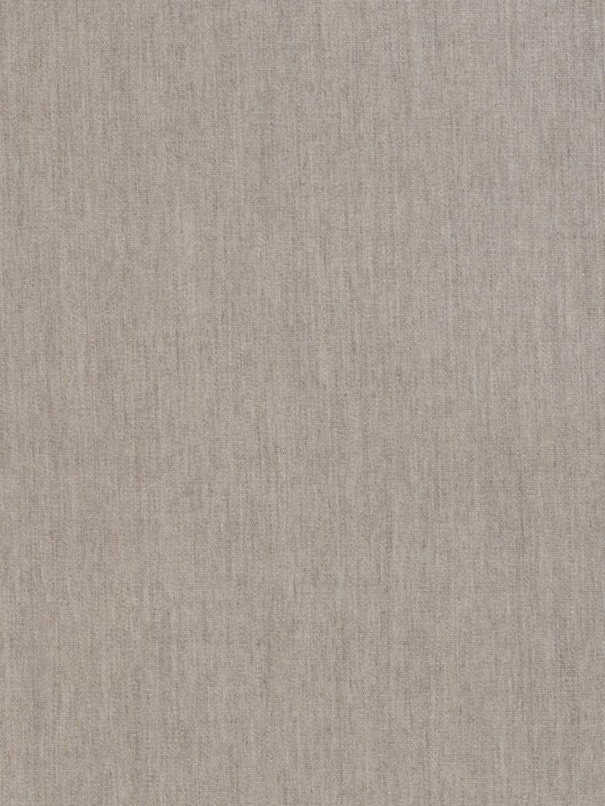 2299-81 Canvas Fawn