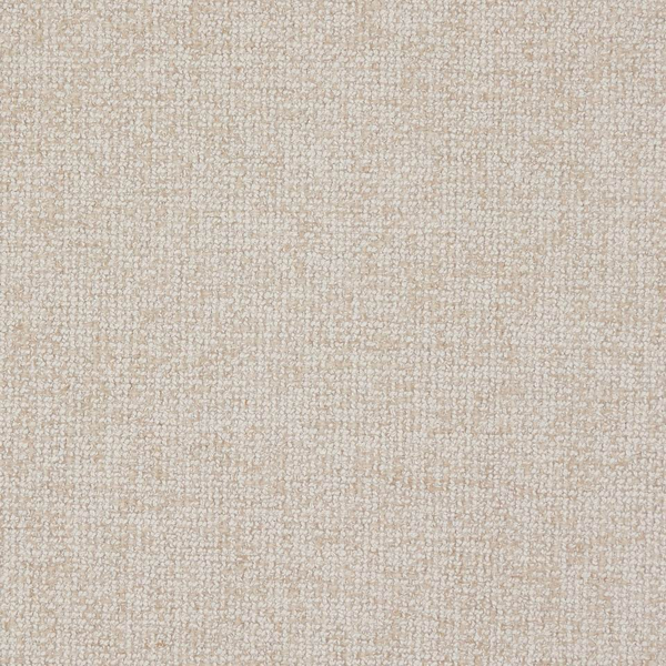 2405-83 San Marino Fossil