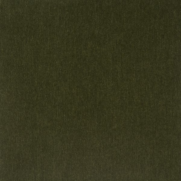 2504-27 Apollo Moss