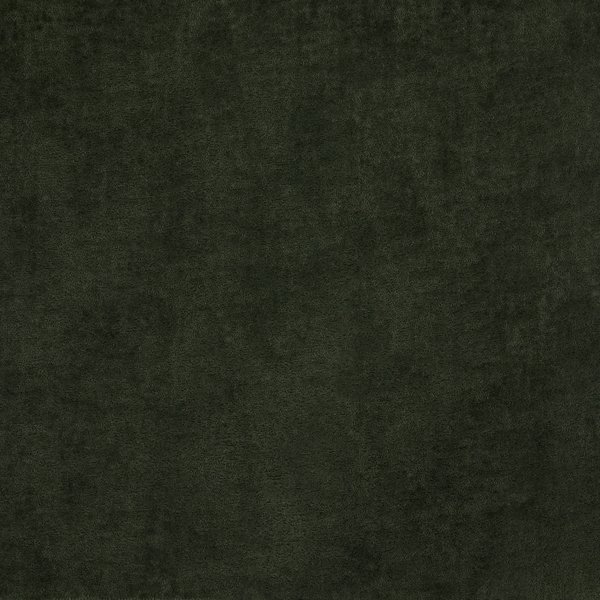 2535-27 Patagonia Moss