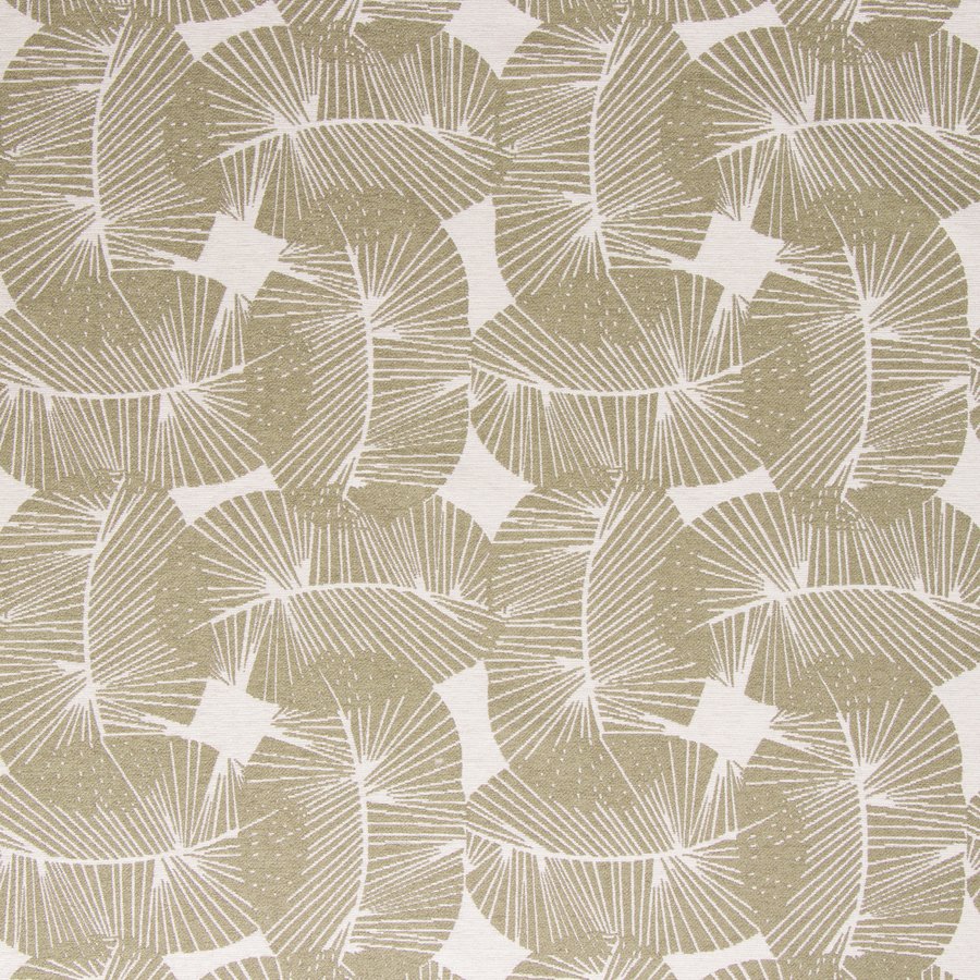 2649-25 FERNSCAPE FERN