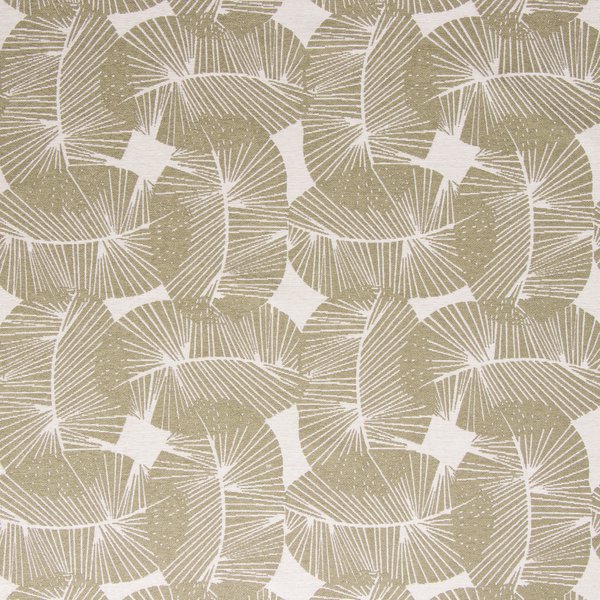 2649-25 FERNSCAPE FERN