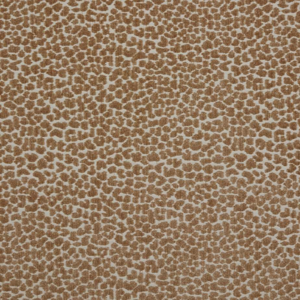 2683-82 Panther Desert