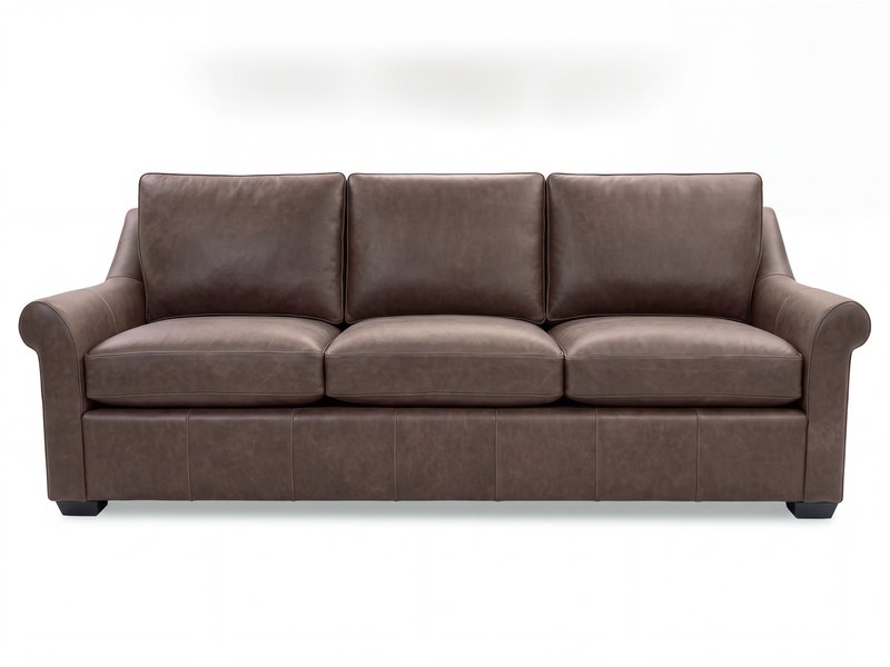 L2608-350 Tucson Leather Sofa Head-On
